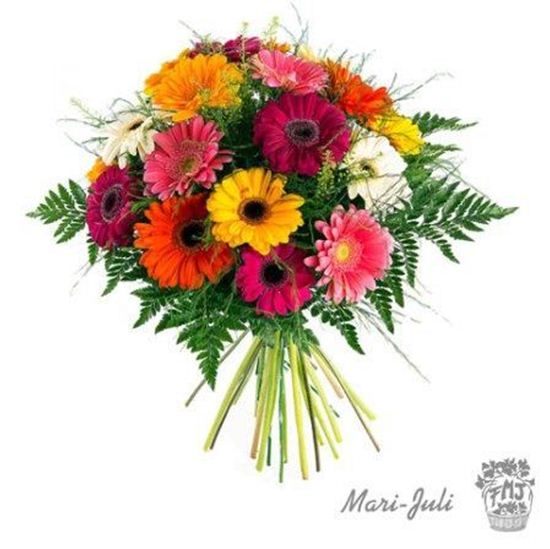 Imagen de Ref.F0029.Ramo gerberas variadas multicolor Mediodia.