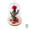 Picture of Ref.FMJ0130.Rosa encantada del amor eterno.(a partir de 15€)