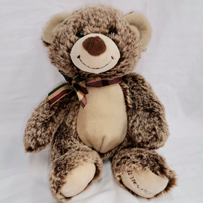 Ref.111510062021 Oso Peluche